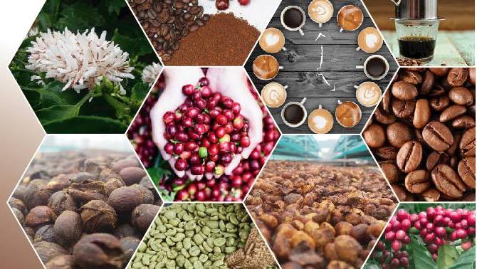 Tổ chức Cuộc thi video clip giới thiệu về cà phê Buôn Ma Thuột 